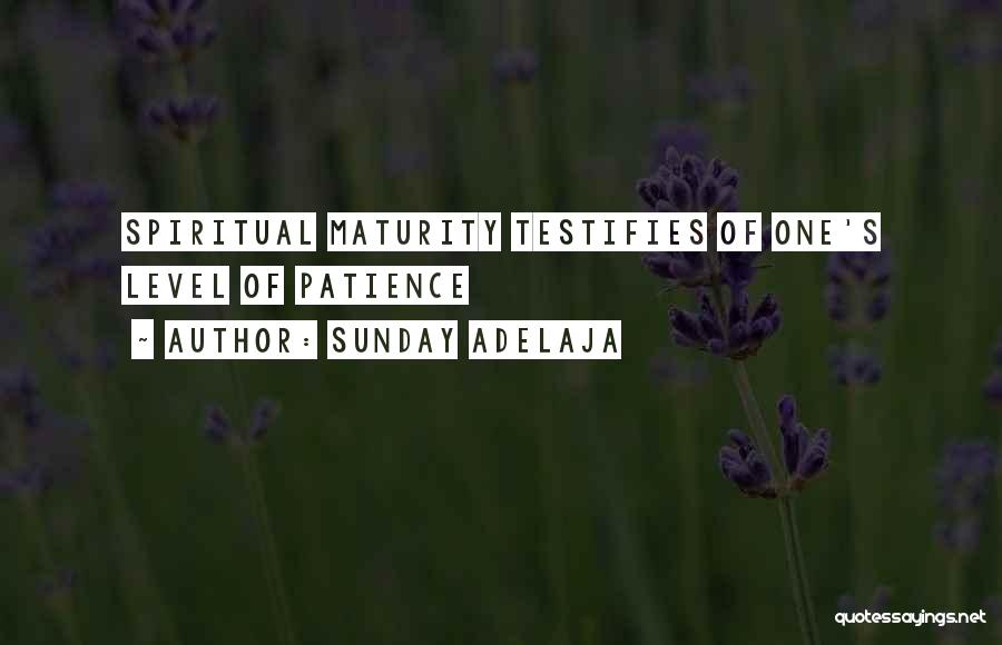 Sunday Adelaja Quotes: Spiritual Maturity Testifies Of One's Level Of Patience