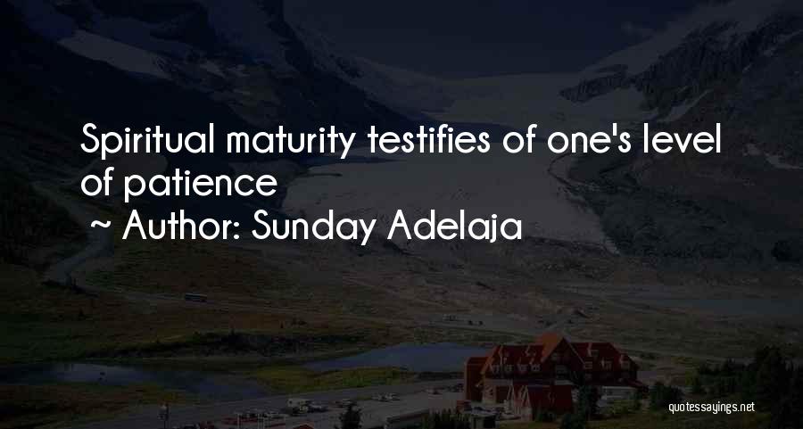 Sunday Adelaja Quotes: Spiritual Maturity Testifies Of One's Level Of Patience
