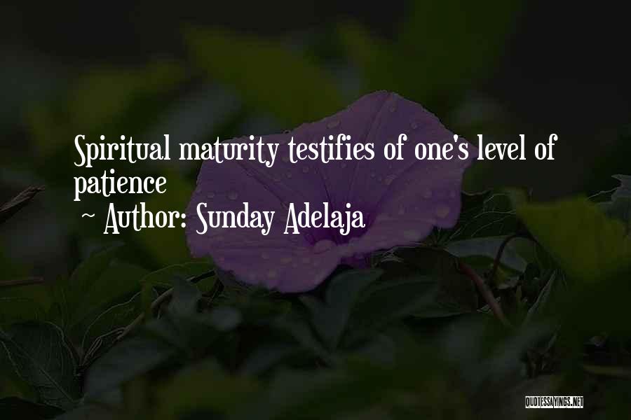 Sunday Adelaja Quotes: Spiritual Maturity Testifies Of One's Level Of Patience