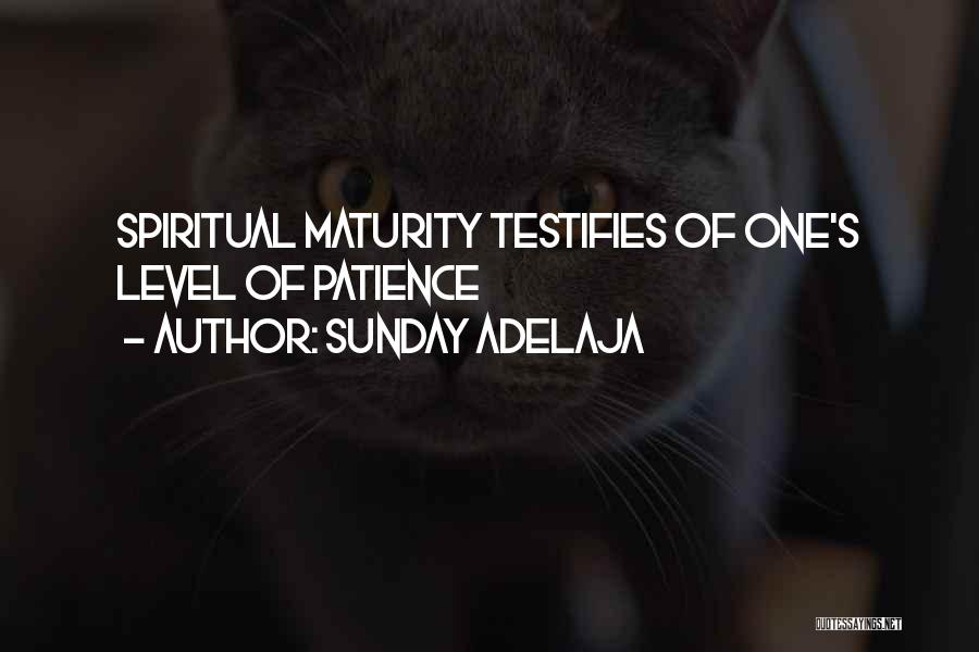 Sunday Adelaja Quotes: Spiritual Maturity Testifies Of One's Level Of Patience