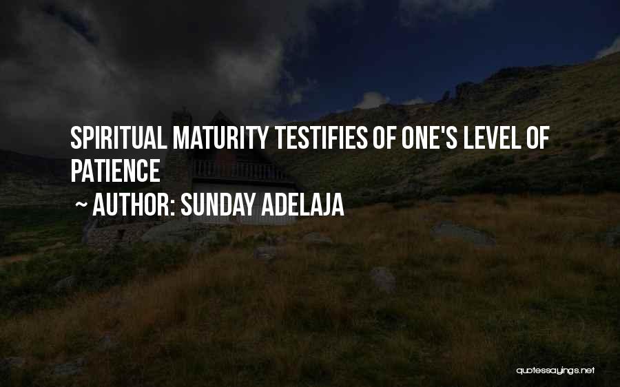 Sunday Adelaja Quotes: Spiritual Maturity Testifies Of One's Level Of Patience