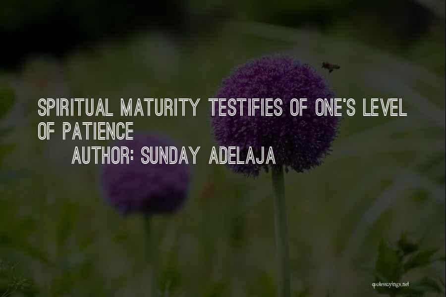 Sunday Adelaja Quotes: Spiritual Maturity Testifies Of One's Level Of Patience