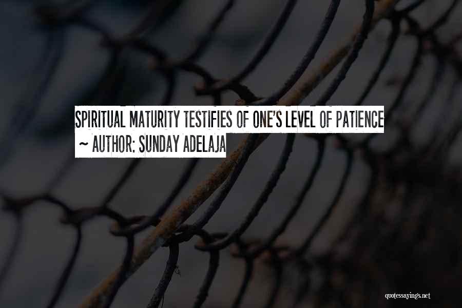 Sunday Adelaja Quotes: Spiritual Maturity Testifies Of One's Level Of Patience