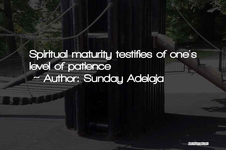 Sunday Adelaja Quotes: Spiritual Maturity Testifies Of One's Level Of Patience