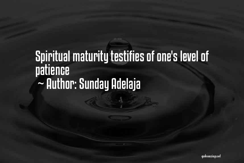 Sunday Adelaja Quotes: Spiritual Maturity Testifies Of One's Level Of Patience