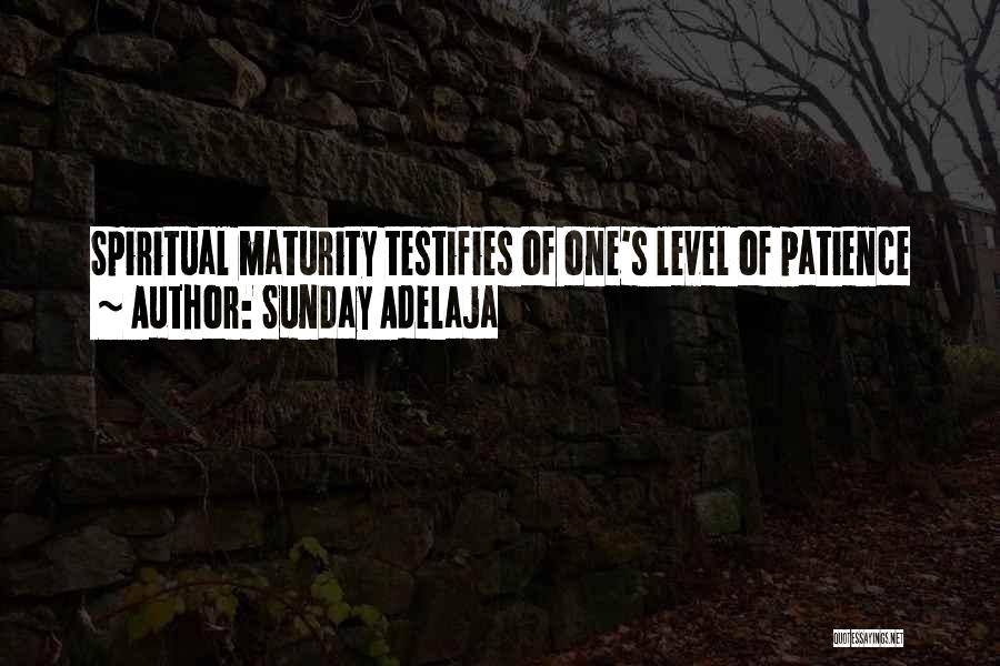 Sunday Adelaja Quotes: Spiritual Maturity Testifies Of One's Level Of Patience