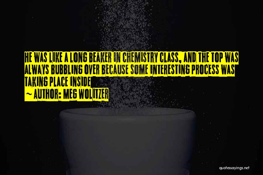 Meg Wolitzer Quotes: He Was Like A Long Beaker In Chemistry Class, And The Top Was Always Bubbling Over Because Some Interesting Process