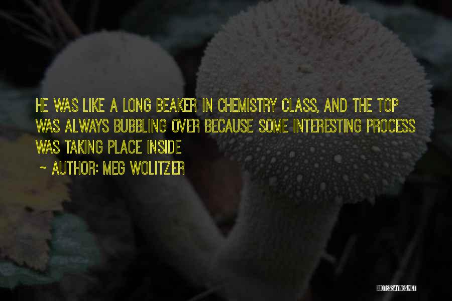 Meg Wolitzer Quotes: He Was Like A Long Beaker In Chemistry Class, And The Top Was Always Bubbling Over Because Some Interesting Process