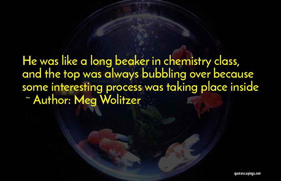 Meg Wolitzer Quotes: He Was Like A Long Beaker In Chemistry Class, And The Top Was Always Bubbling Over Because Some Interesting Process