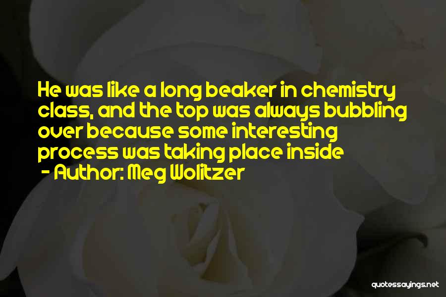 Meg Wolitzer Quotes: He Was Like A Long Beaker In Chemistry Class, And The Top Was Always Bubbling Over Because Some Interesting Process