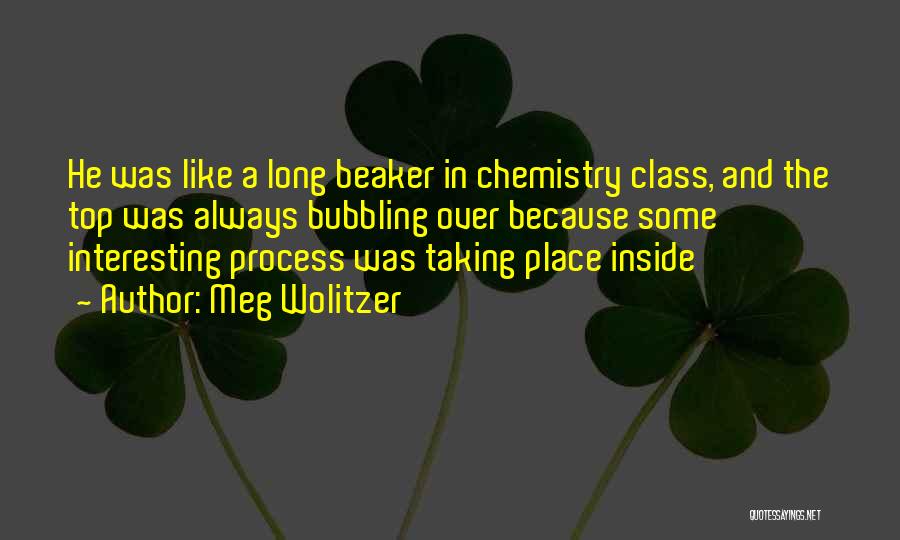 Meg Wolitzer Quotes: He Was Like A Long Beaker In Chemistry Class, And The Top Was Always Bubbling Over Because Some Interesting Process