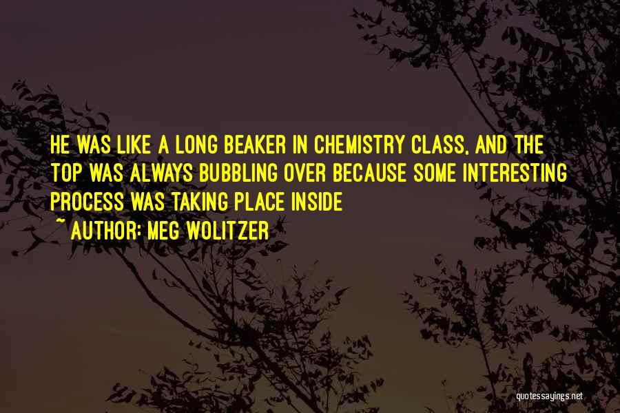 Meg Wolitzer Quotes: He Was Like A Long Beaker In Chemistry Class, And The Top Was Always Bubbling Over Because Some Interesting Process