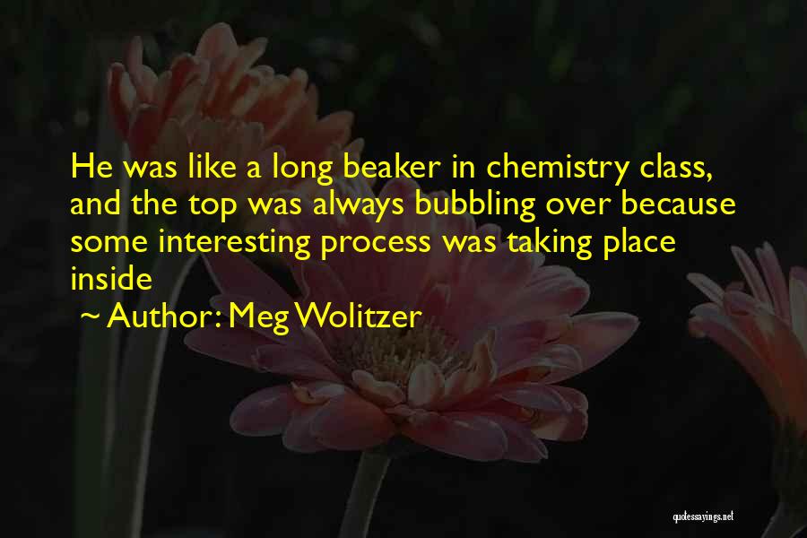 Meg Wolitzer Quotes: He Was Like A Long Beaker In Chemistry Class, And The Top Was Always Bubbling Over Because Some Interesting Process