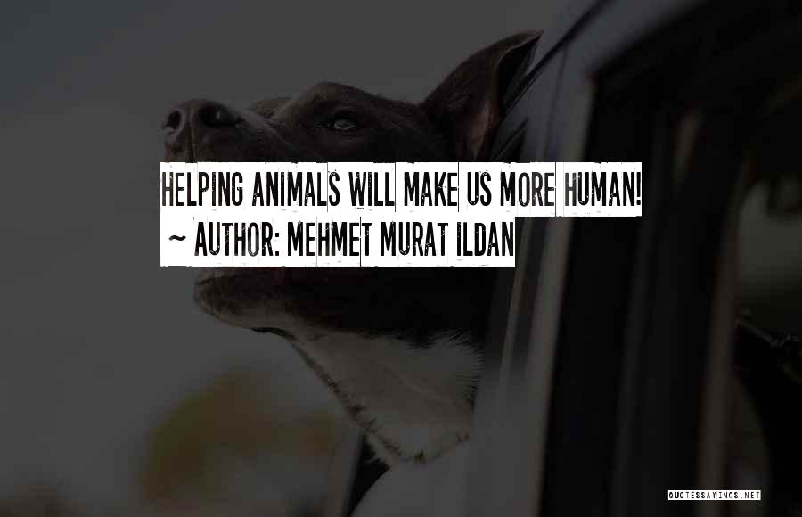 Mehmet Murat Ildan Quotes: Helping Animals Will Make Us More Human!
