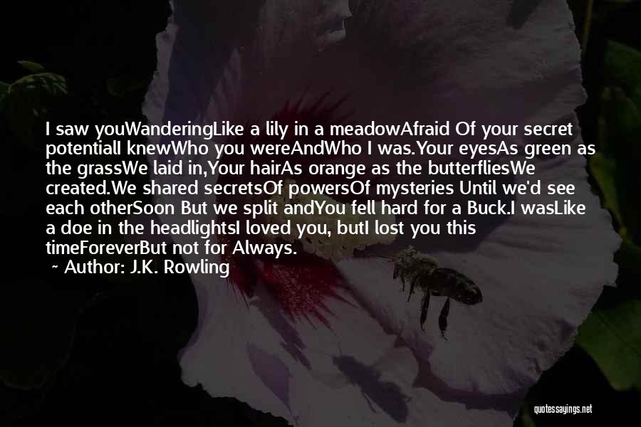 J.K. Rowling Quotes: I Saw Youwanderinglike A Lily In A Meadowafraid Of Your Secret Potentiali Knewwho You Wereandwho I Was.your Eyesas Green As