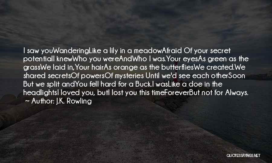 J.K. Rowling Quotes: I Saw Youwanderinglike A Lily In A Meadowafraid Of Your Secret Potentiali Knewwho You Wereandwho I Was.your Eyesas Green As