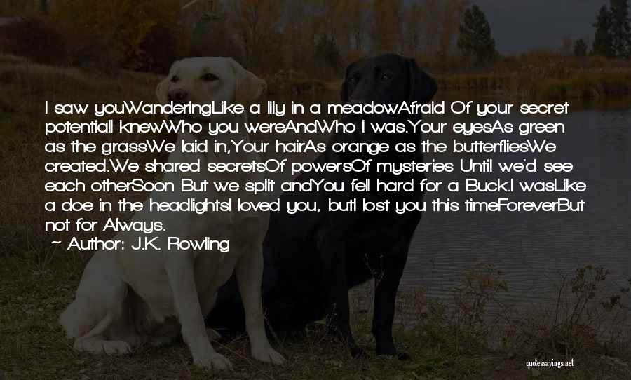 J.K. Rowling Quotes: I Saw Youwanderinglike A Lily In A Meadowafraid Of Your Secret Potentiali Knewwho You Wereandwho I Was.your Eyesas Green As