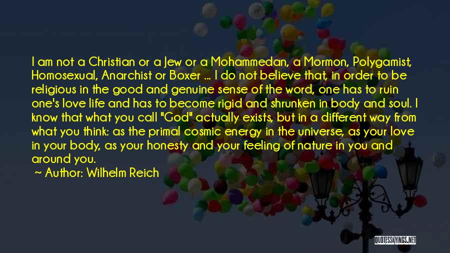 Wilhelm Reich Quotes: I Am Not A Christian Or A Jew Or A Mohammedan, A Mormon, Polygamist, Homosexual, Anarchist Or Boxer ... I