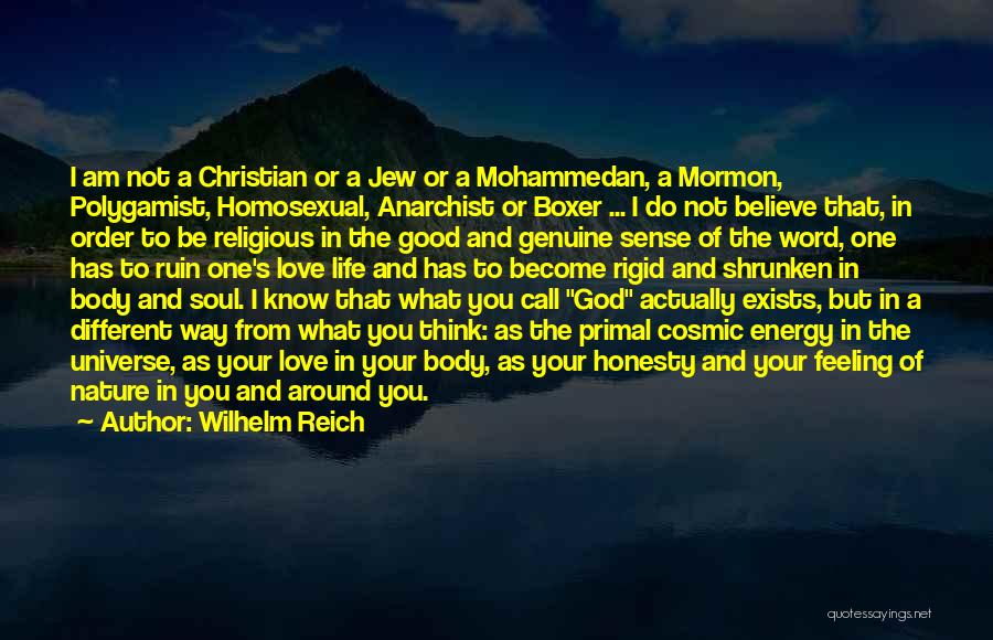 Wilhelm Reich Quotes: I Am Not A Christian Or A Jew Or A Mohammedan, A Mormon, Polygamist, Homosexual, Anarchist Or Boxer ... I