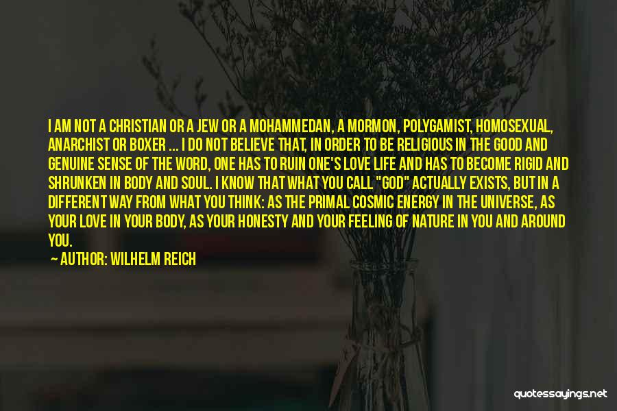 Wilhelm Reich Quotes: I Am Not A Christian Or A Jew Or A Mohammedan, A Mormon, Polygamist, Homosexual, Anarchist Or Boxer ... I