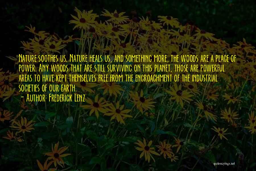 Frederick Lenz Quotes: Nature Soothes Us. Nature Heals Us, And Something More, The Woods Are A Place Of Power. Any Woods That Are