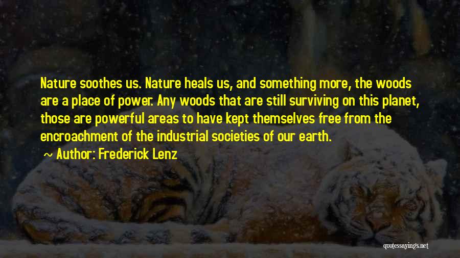 Frederick Lenz Quotes: Nature Soothes Us. Nature Heals Us, And Something More, The Woods Are A Place Of Power. Any Woods That Are