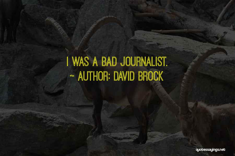 David Brock Quotes: I Was A Bad Journalist.