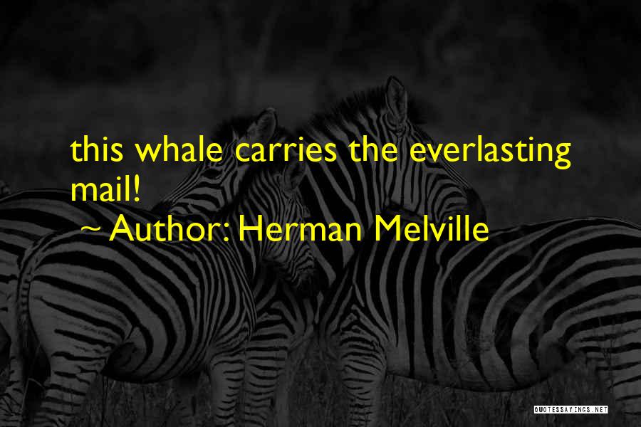 Herman Melville Quotes: This Whale Carries The Everlasting Mail!