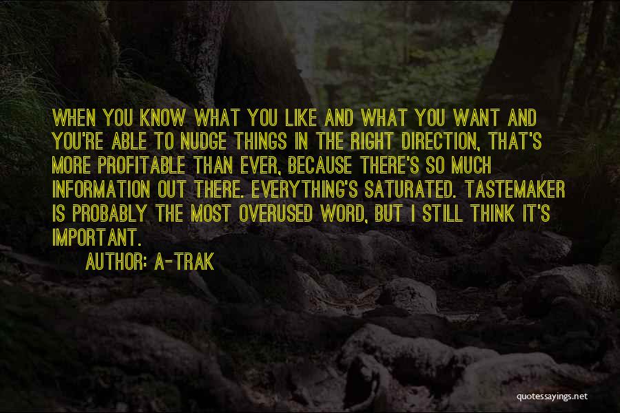 A-Trak Quotes: When You Know What You Like And What You Want And You're Able To Nudge Things In The Right Direction,