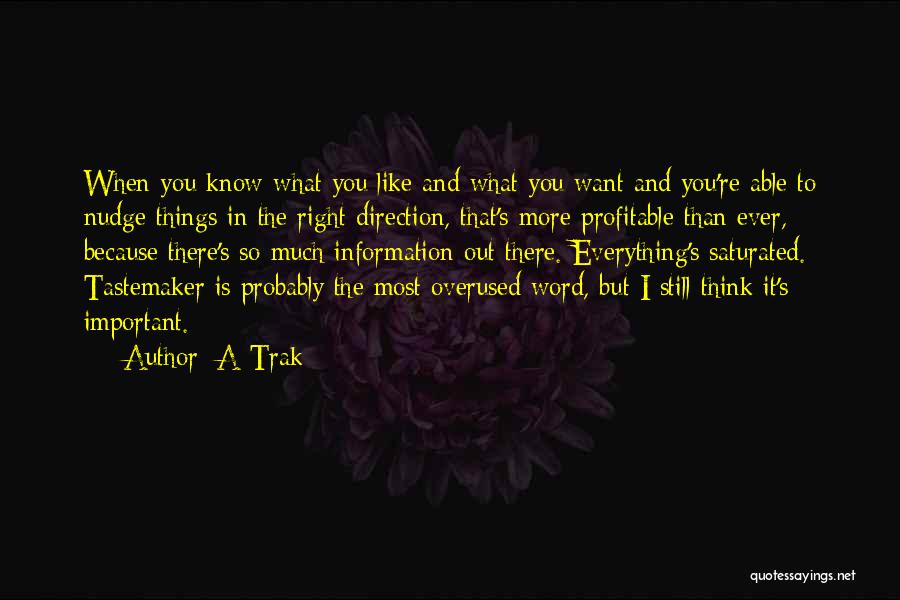 A-Trak Quotes: When You Know What You Like And What You Want And You're Able To Nudge Things In The Right Direction,