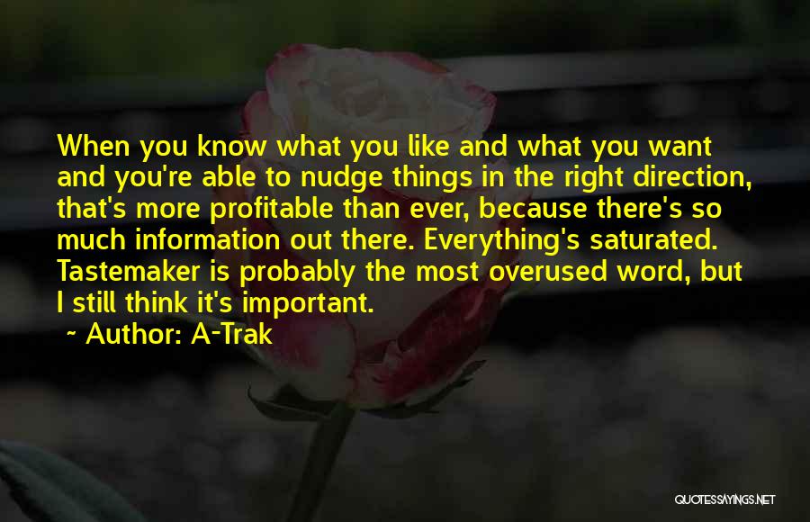 A-Trak Quotes: When You Know What You Like And What You Want And You're Able To Nudge Things In The Right Direction,