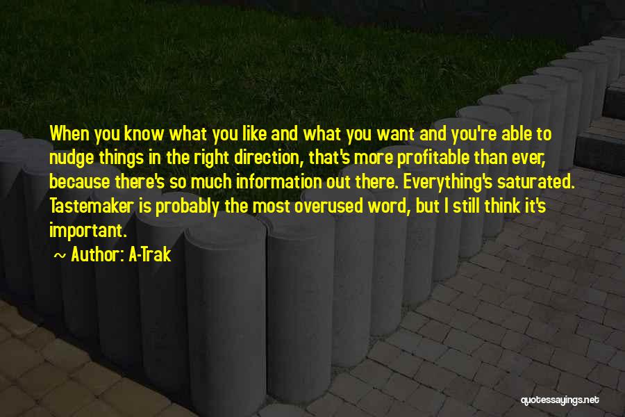 A-Trak Quotes: When You Know What You Like And What You Want And You're Able To Nudge Things In The Right Direction,