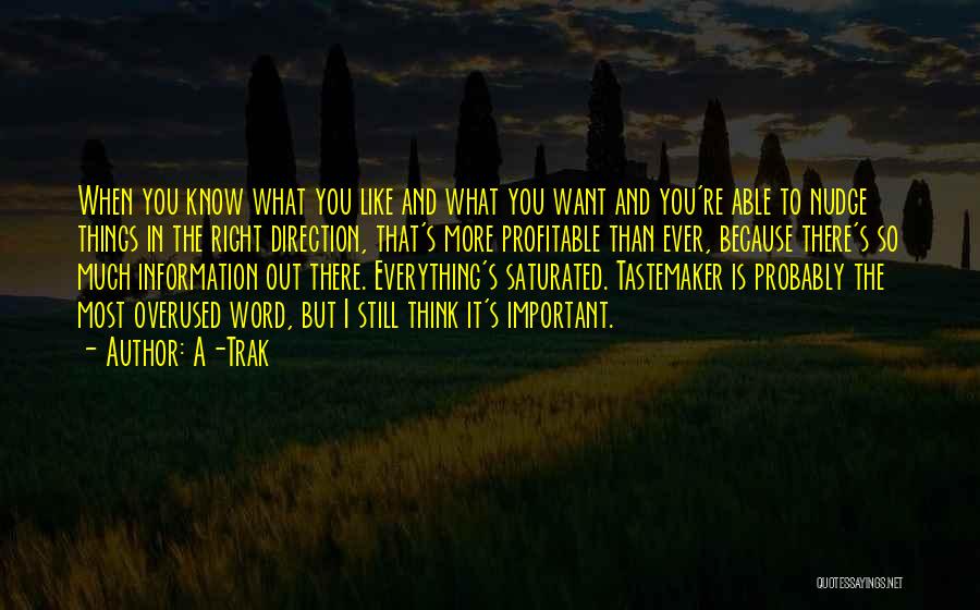 A-Trak Quotes: When You Know What You Like And What You Want And You're Able To Nudge Things In The Right Direction,