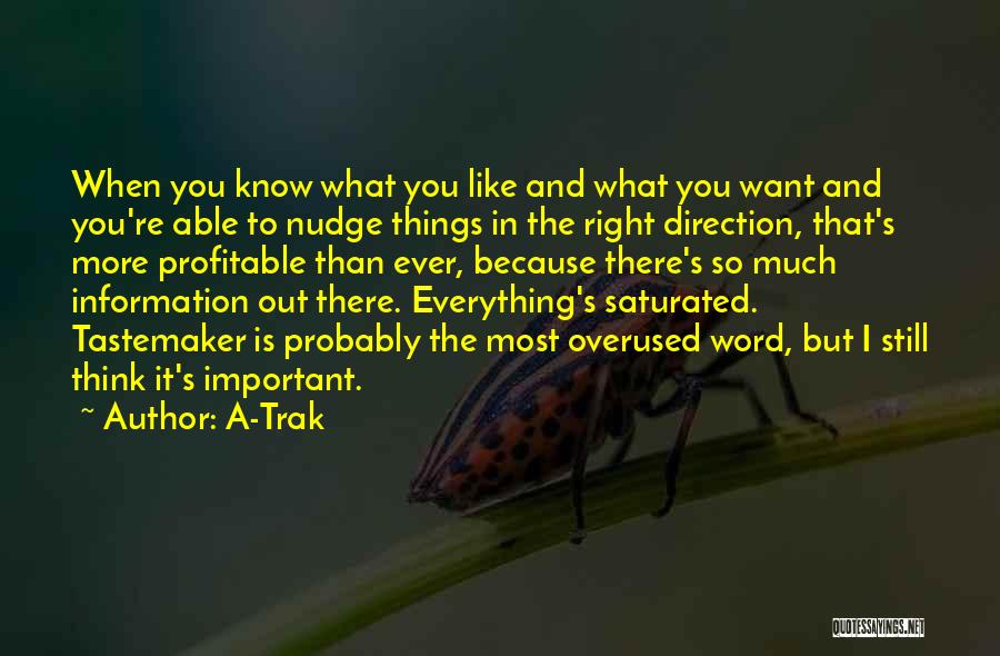 A-Trak Quotes: When You Know What You Like And What You Want And You're Able To Nudge Things In The Right Direction,
