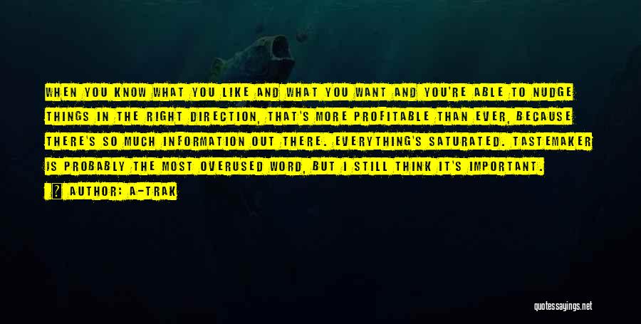 A-Trak Quotes: When You Know What You Like And What You Want And You're Able To Nudge Things In The Right Direction,