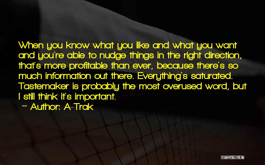 A-Trak Quotes: When You Know What You Like And What You Want And You're Able To Nudge Things In The Right Direction,