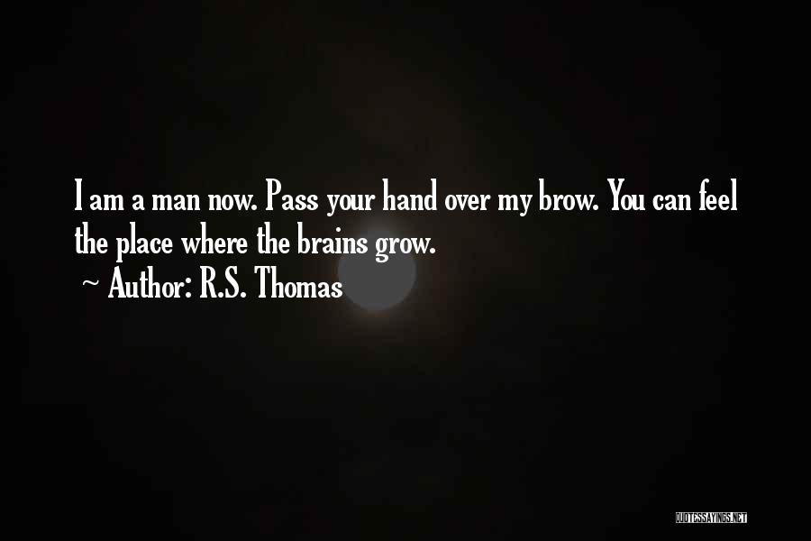 R.S. Thomas Quotes: I Am A Man Now. Pass Your Hand Over My Brow. You Can Feel The Place Where The Brains Grow.