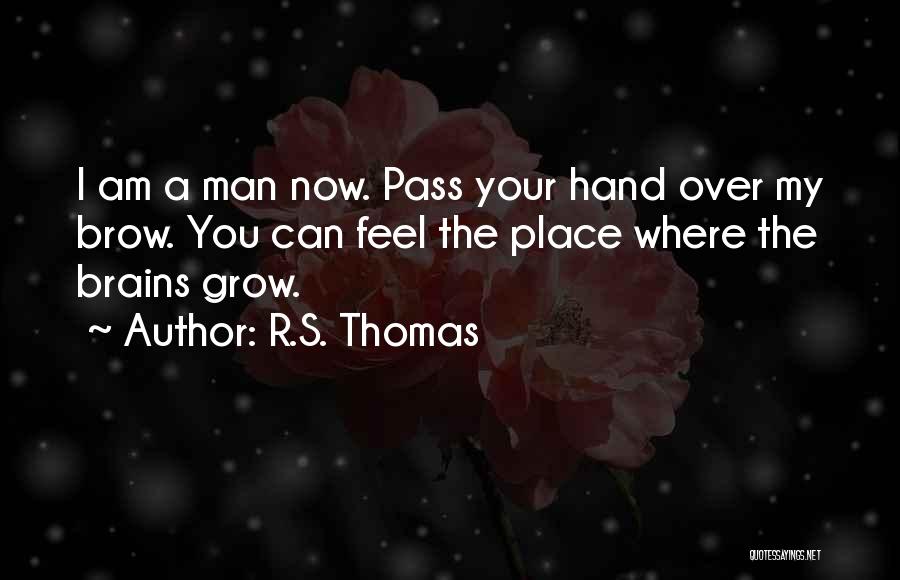 R.S. Thomas Quotes: I Am A Man Now. Pass Your Hand Over My Brow. You Can Feel The Place Where The Brains Grow.