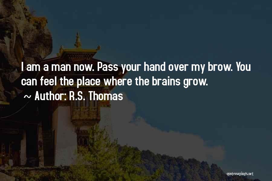 R.S. Thomas Quotes: I Am A Man Now. Pass Your Hand Over My Brow. You Can Feel The Place Where The Brains Grow.