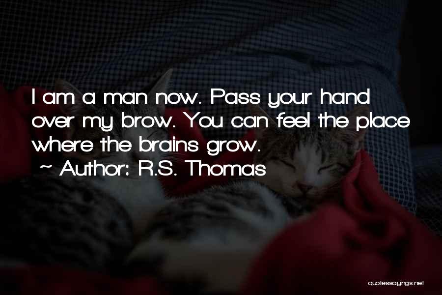 R.S. Thomas Quotes: I Am A Man Now. Pass Your Hand Over My Brow. You Can Feel The Place Where The Brains Grow.