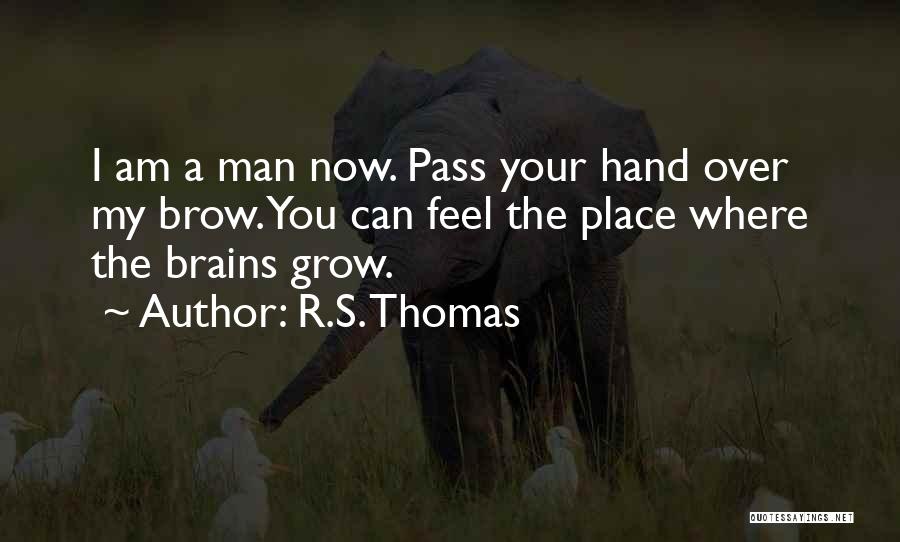 R.S. Thomas Quotes: I Am A Man Now. Pass Your Hand Over My Brow. You Can Feel The Place Where The Brains Grow.