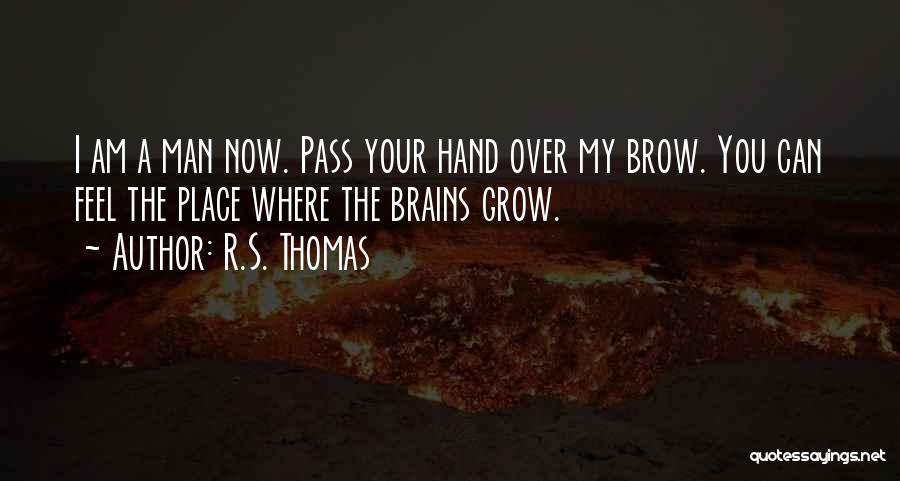 R.S. Thomas Quotes: I Am A Man Now. Pass Your Hand Over My Brow. You Can Feel The Place Where The Brains Grow.