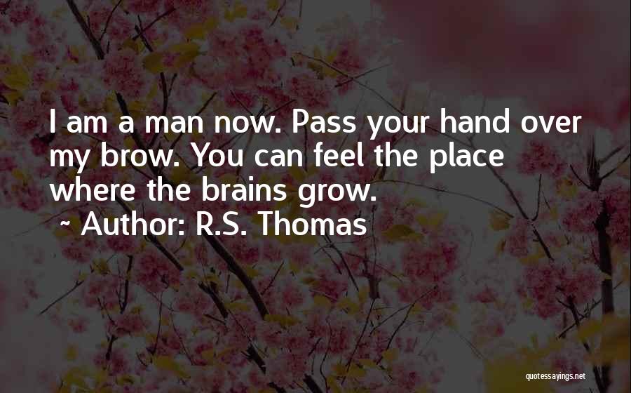 R.S. Thomas Quotes: I Am A Man Now. Pass Your Hand Over My Brow. You Can Feel The Place Where The Brains Grow.
