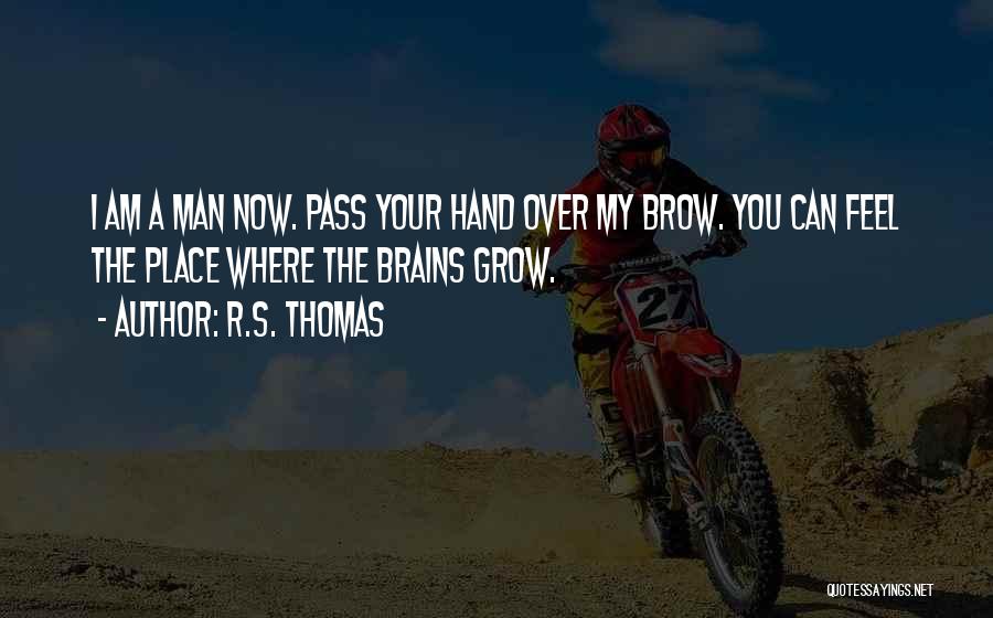 R.S. Thomas Quotes: I Am A Man Now. Pass Your Hand Over My Brow. You Can Feel The Place Where The Brains Grow.