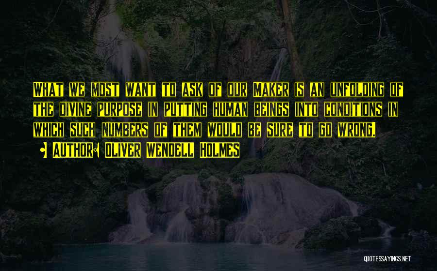 Oliver Wendell Holmes Quotes: What We Most Want To Ask Of Our Maker Is An Unfolding Of The Divine Purpose In Putting Human Beings