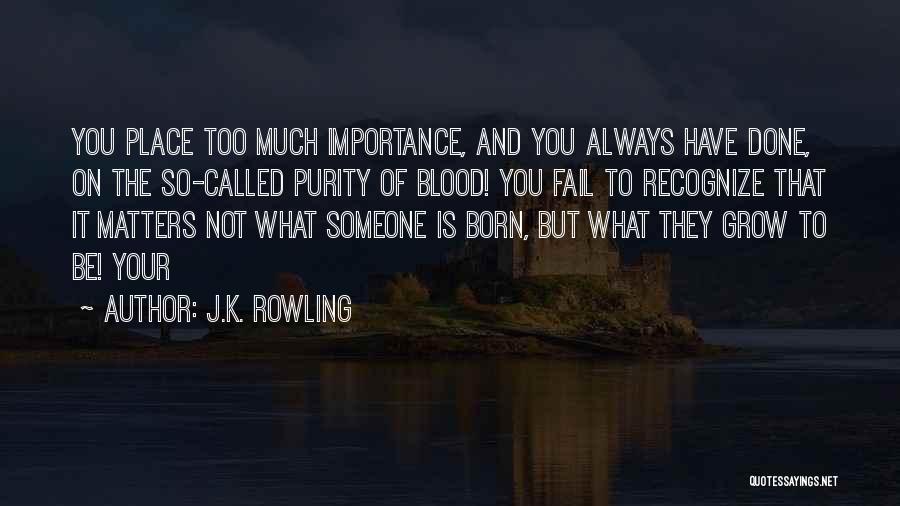 J.K. Rowling Quotes: You Place Too Much Importance, And You Always Have Done, On The So-called Purity Of Blood! You Fail To Recognize