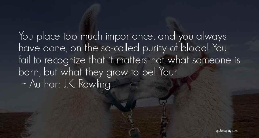 J.K. Rowling Quotes: You Place Too Much Importance, And You Always Have Done, On The So-called Purity Of Blood! You Fail To Recognize