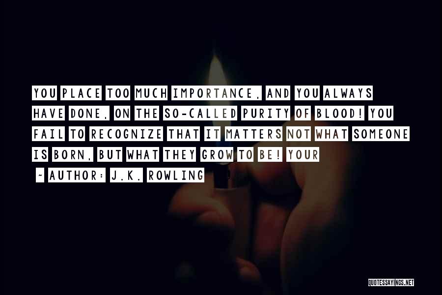 J.K. Rowling Quotes: You Place Too Much Importance, And You Always Have Done, On The So-called Purity Of Blood! You Fail To Recognize