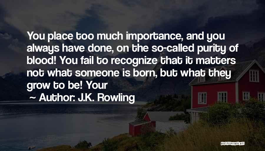 J.K. Rowling Quotes: You Place Too Much Importance, And You Always Have Done, On The So-called Purity Of Blood! You Fail To Recognize