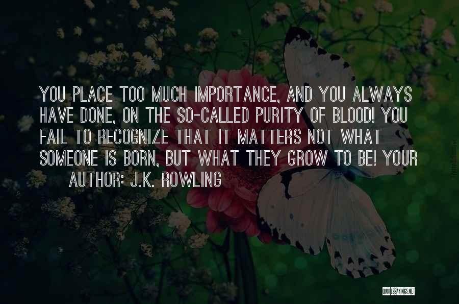 J.K. Rowling Quotes: You Place Too Much Importance, And You Always Have Done, On The So-called Purity Of Blood! You Fail To Recognize